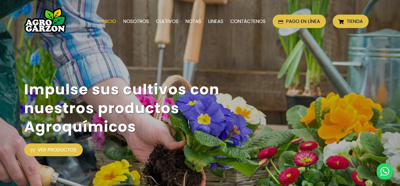 Sitios WEB profesionales