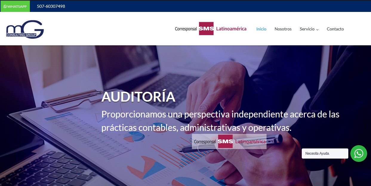 Sitios WEB profesionales