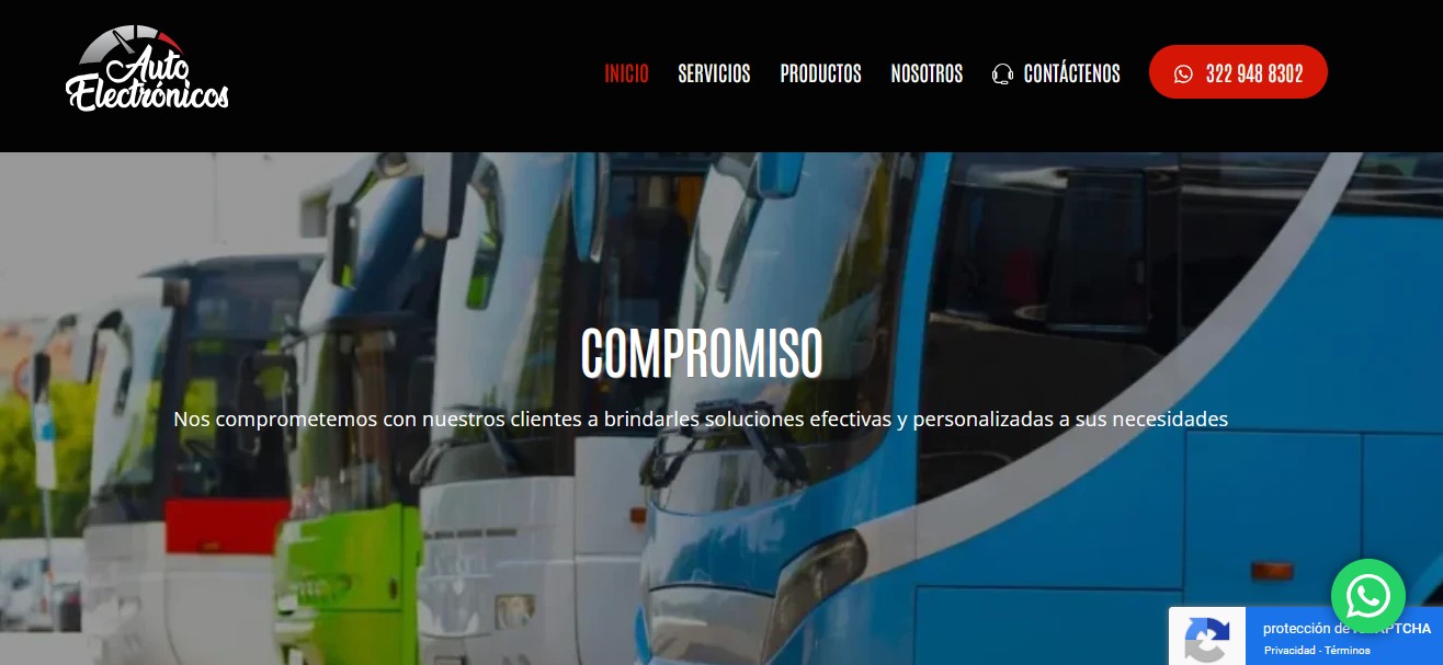 Sitios WEB profesionales